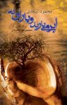 کتاب ابر می‌بارید و باران نه (نسخه PDF) نوشته  محمود اسعدی